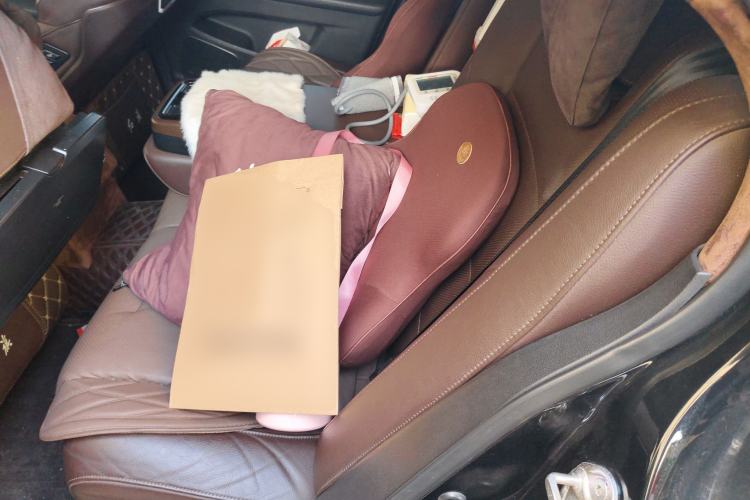 Used Hongqi H7 2018 2.0T Elite Edition Left Rear Seat