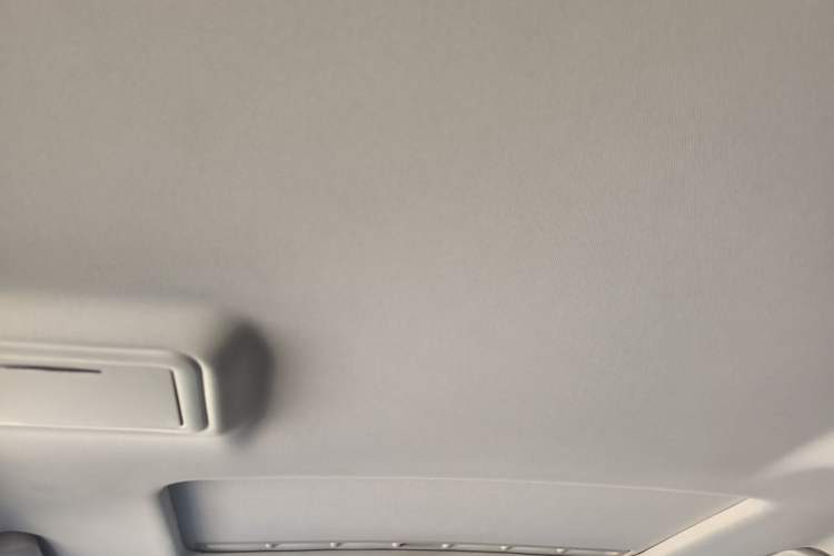 Used Hongqi H7 2019 3.0L Prestige Edition Headliner
