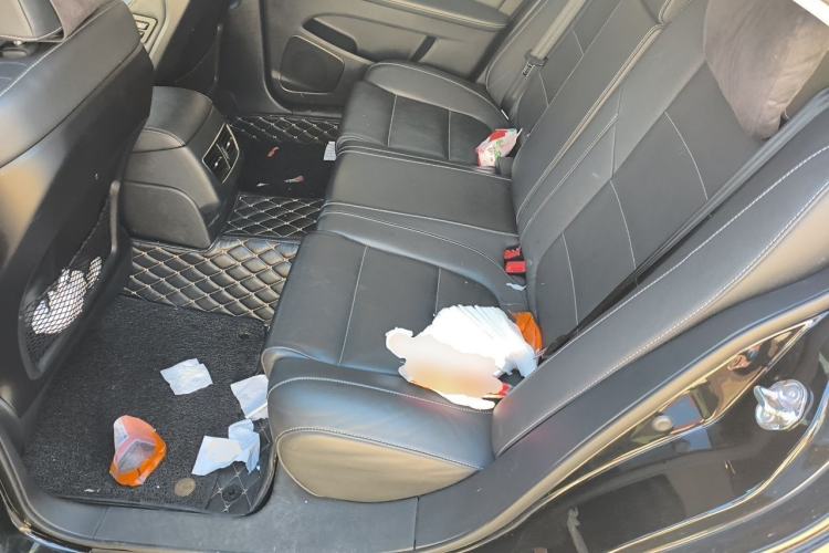 Used Hongqi H7 2019 3.0L Prestige Edition Left Rear Seat