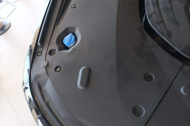 Used Hongqi H9 2024 2.0T Qichang Private Enjoyment Luxury Edition Engine Bay Right