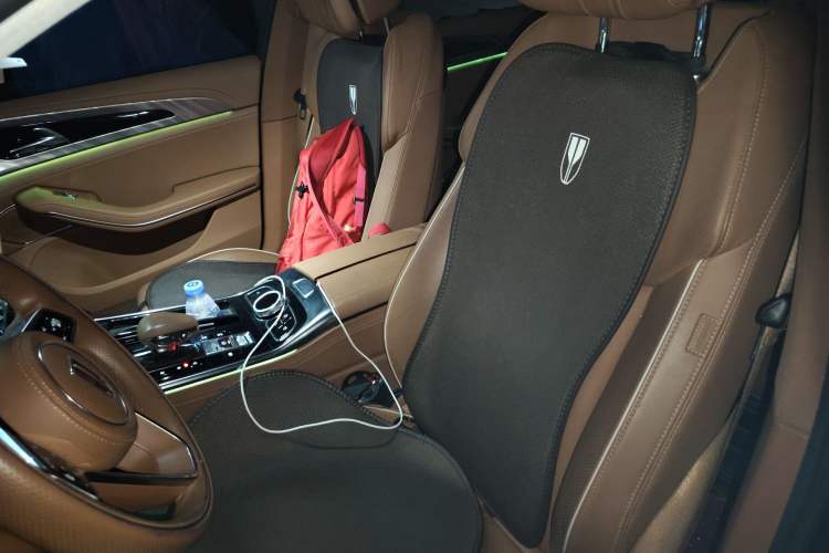 Used Hongqi H9 2020 2.0T Smart Connect Flagship Edition Left Front Seat