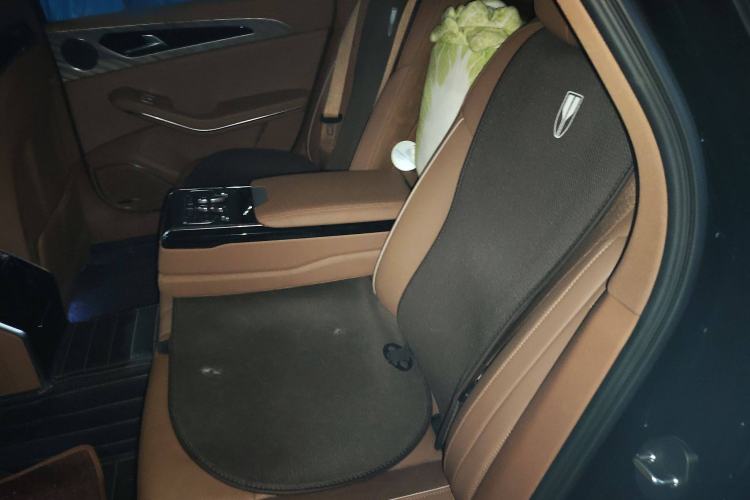 Used Hongqi H9 2020 2.0T Smart Connect Flagship Edition Left Rear Seat
