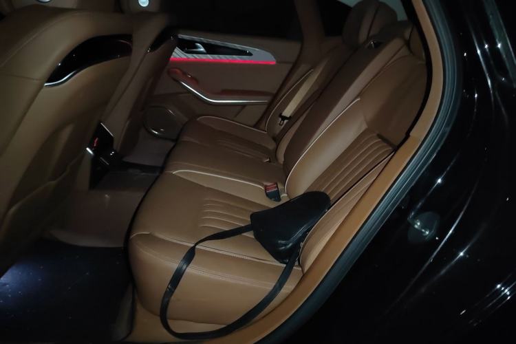 Used Hongqi H9 2023 2.0T Smart Connect Flagship Edition Left Rear Seat