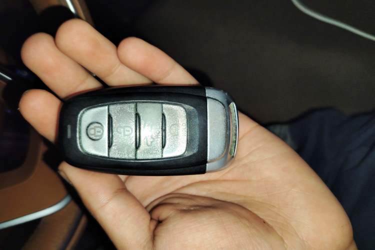 Used Hongqi H9 2020 2.0T Smart Connect Flagship Edition Vehicle Key