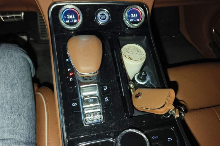 Used Hongqi H9 2020 2.0T Smart Connect Flagship Edition Gear Lever