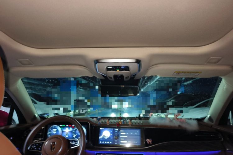 Used Hongqi H9 2020 2.0T Smart Connect Flagship Edition Headliner