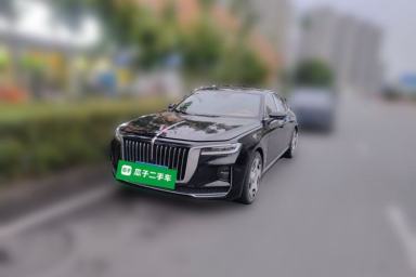 Used Hongqi H9 2020 2.0T Smart Connect Flagship Edition