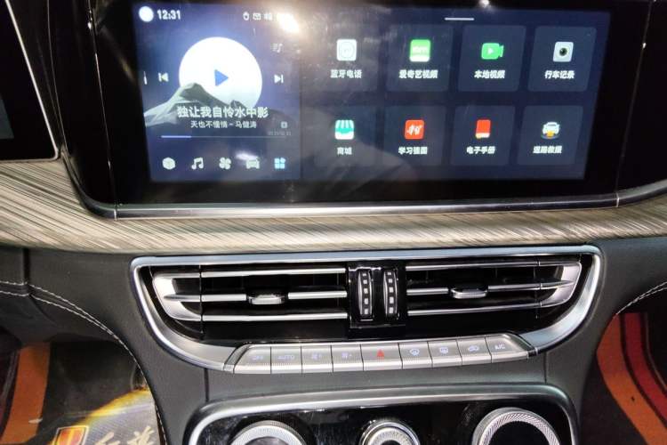 Used Hongqi H9 2020 2.0T Smart Connect Flagship Edition Audio And AC Panel
