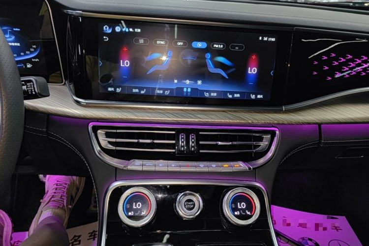 Used Hongqi H9 2020 2.0T Smart Connect Flagship Edition Audio And AC Panel