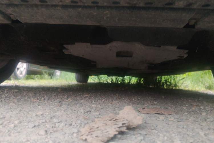 Used Hongqi H9 2020 2.0T Smart Connect Flagship Edition Chassis Front