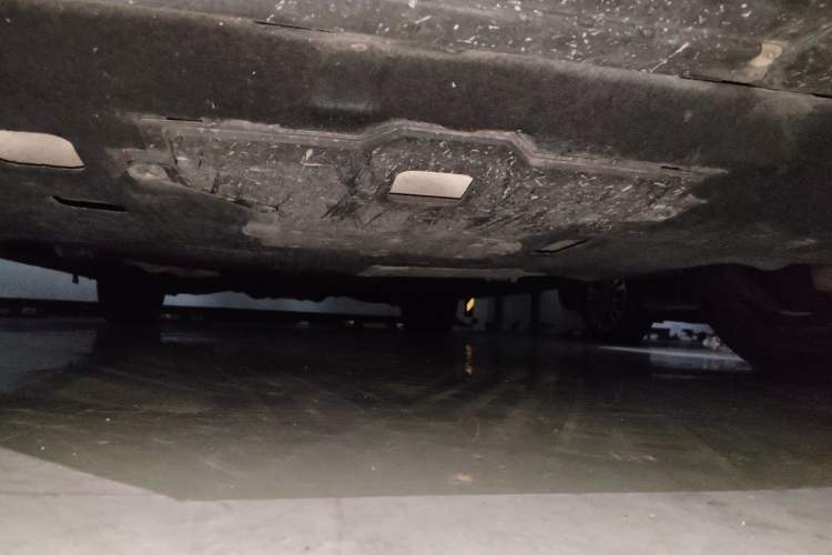 Used Hongqi H9 2020 2.0T Smart Connect Flagship Edition Chassis Front
