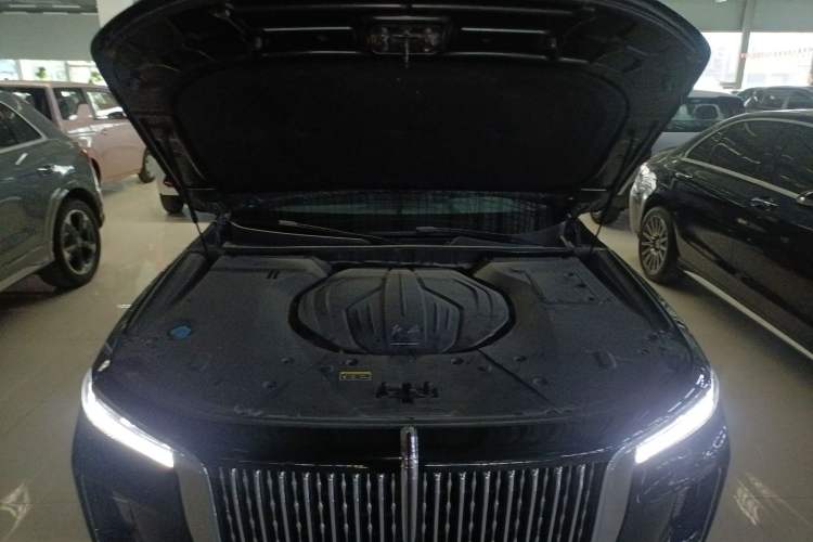 Used Hongqi H9 2020 2.0T Smart Connect Flagship Edition Engine Bay