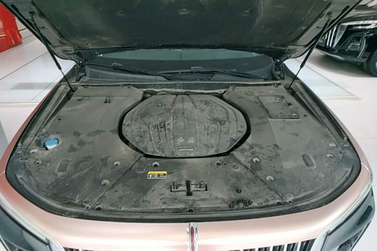 Used Hongqi H9 2020 2.0T Smart Connect Flagship Edition Engine Bay