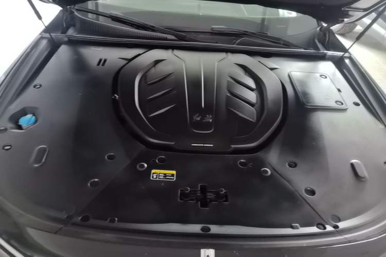 Used Hongqi H9 2020 3.0T Smart Connect Flagship Four-Seat Version Engine Bay