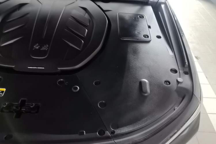 Used Hongqi H9 2020 3.0T Smart Connect Flagship Four-Seat Version Engine Bay Left