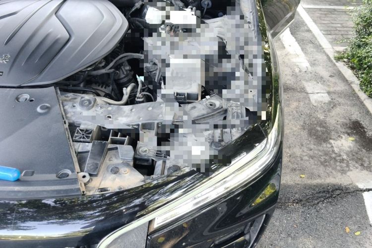 Used Hongqi H9 2020 2.0T Smart Connect Flagship Edition Engine Bay Left