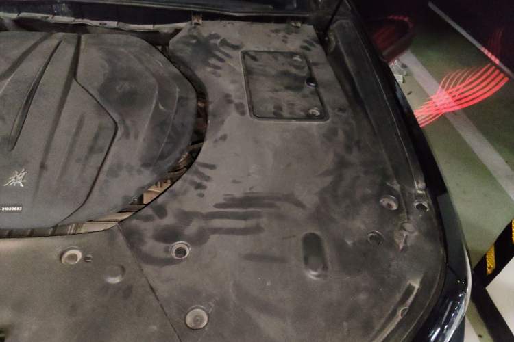 Used Hongqi H9 2020 2.0T Smart Connect Flagship Edition Engine Bay Left