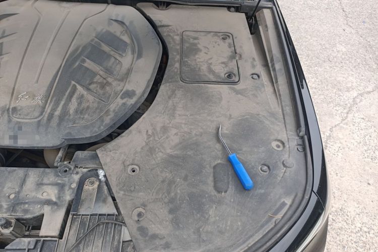 Used Hongqi H9 2020 3.0T Smart Connect Flagship Edition Engine Bay Left