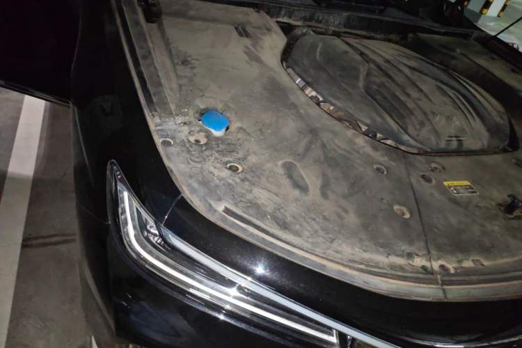 Used Hongqi H9 2020 2.0T Smart Connect Flagship Edition Engine Bay Right
