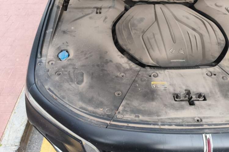 Used Hongqi H9 2020 2.0T Smart Connect Flagship Edition Engine Bay Right