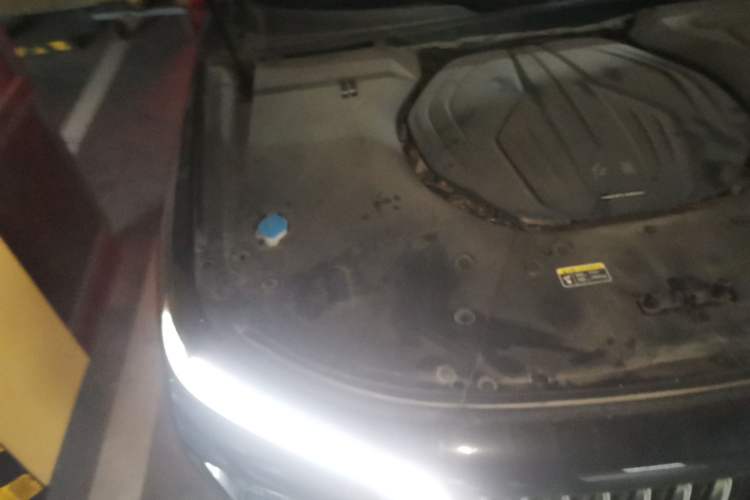 Used Hongqi H9 2020 2.0T Smart Connect Flagship Edition Engine Bay Right