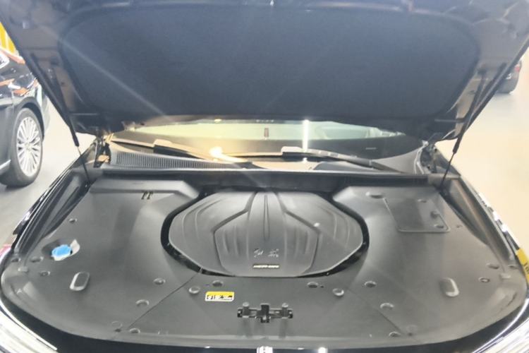 Used Hongqi H9 2020 2.0T Smart Connect Flagship Edition Engine Bay