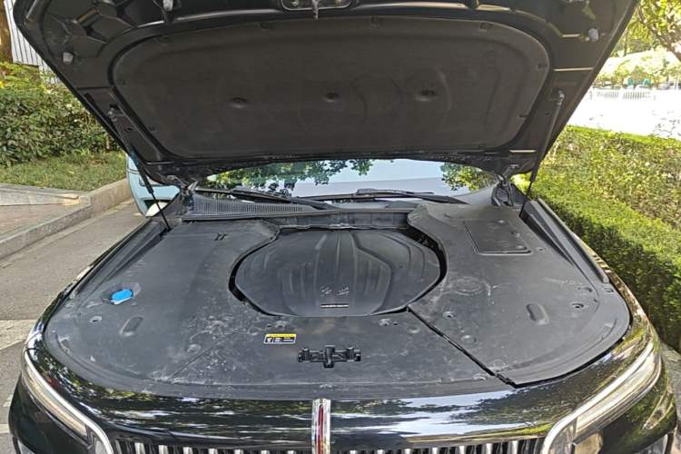 Used Hongqi H9 2020 2.0T Smart Connect Flagship Edition Engine Bay