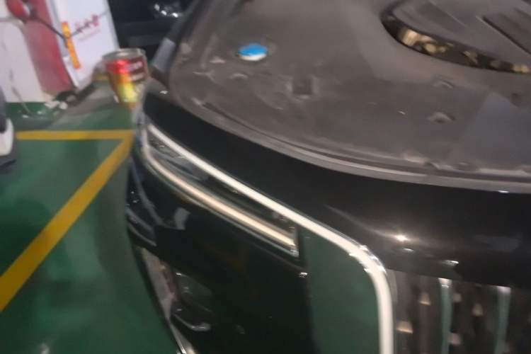 Used Hongqi H9 2020 2.0T Smart Connect Flagship Edition Exterior 6