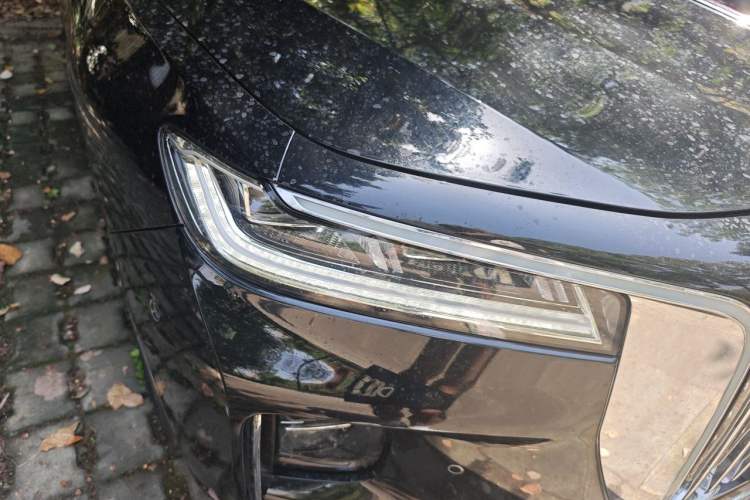 Used Hongqi H9 2020 3.0T Smart Connect Flagship Four-Seat Version Exterior 6