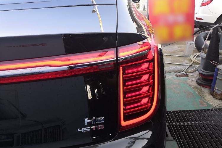 Used Hongqi H9 2020 2.0T Smart Connect Flagship Edition Exterior 6