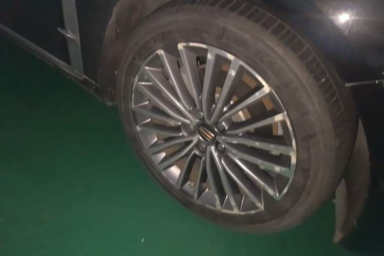 Used Hongqi H9 2020 2.0T Smart Connect Flagship Edition Exterior 7
