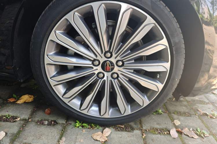 Used Hongqi H9 2020 3.0T Smart Connect Flagship Four-Seat Version Exterior 7