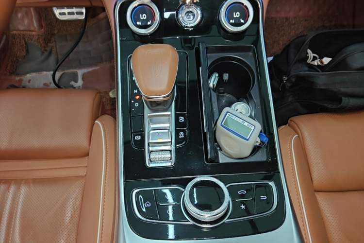 Used Hongqi H9 2020 2.0T Smart Connect Flagship Edition Gear Lever