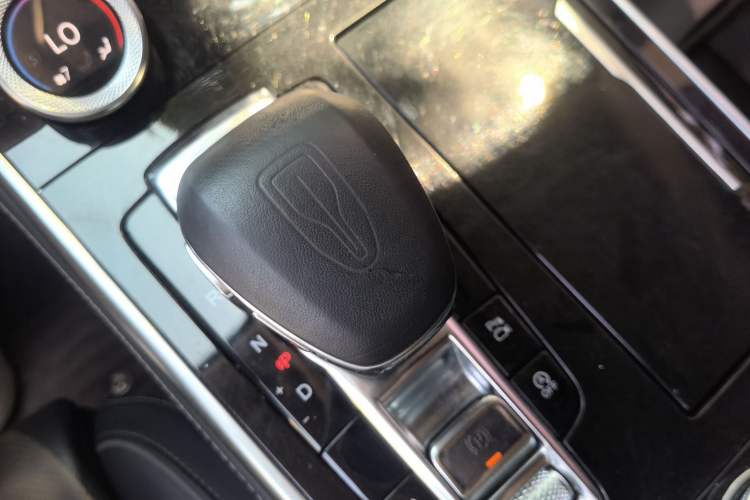 Used Hongqi H9 2020 2.0T Smart Connect Flagship Edition Gear Lever