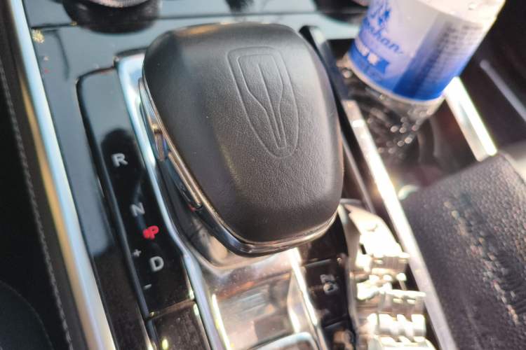 Used Hongqi H9 2020 2.0T Smart Connect Flagship Edition Gear Lever