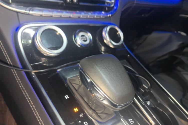 Used Hongqi H9 2020 2.0T Smart Connect Flagship Edition Gear Lever