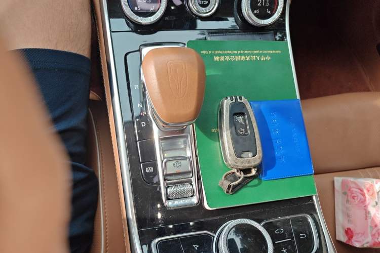 Used Hongqi H9 2020 2.0T Smart Connect Flagship Edition Gear Lever