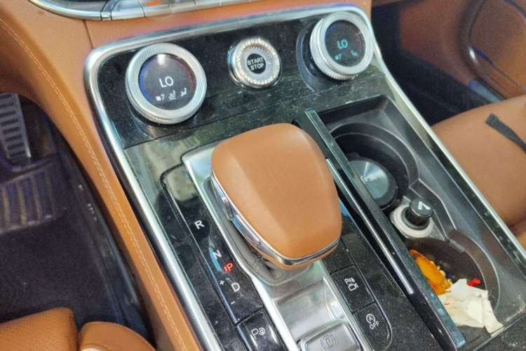 Used Hongqi H9 2020 2.0T Smart Connect Flagship Edition Gear Lever