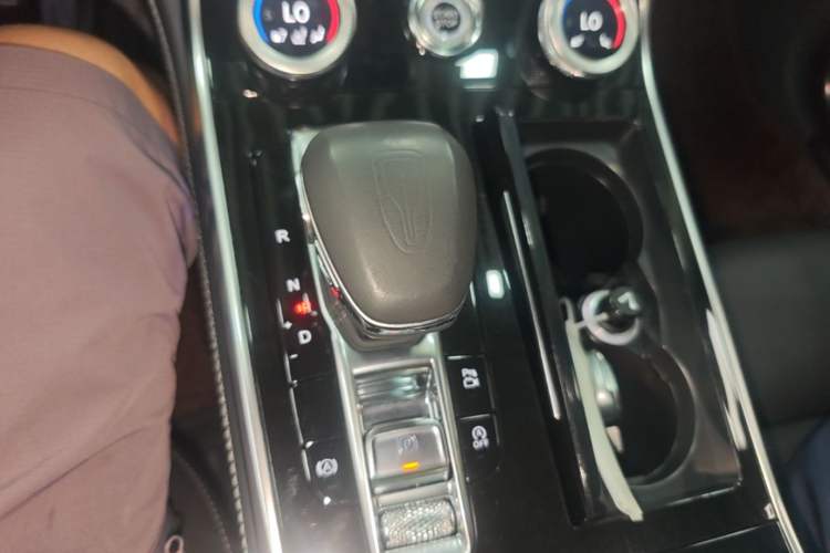 Used Hongqi H9 2020 2.0T Smart Connect Flagship Edition Gear Lever