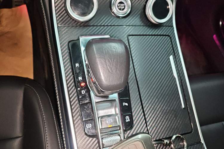 Used Hongqi H9 2020 2.0T Smart Connect Flagship Edition Gear Lever