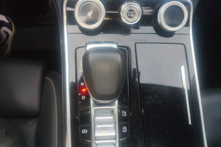 Used Hongqi H9 2020 2.0T Smart Connect Flagship Edition Gear Lever