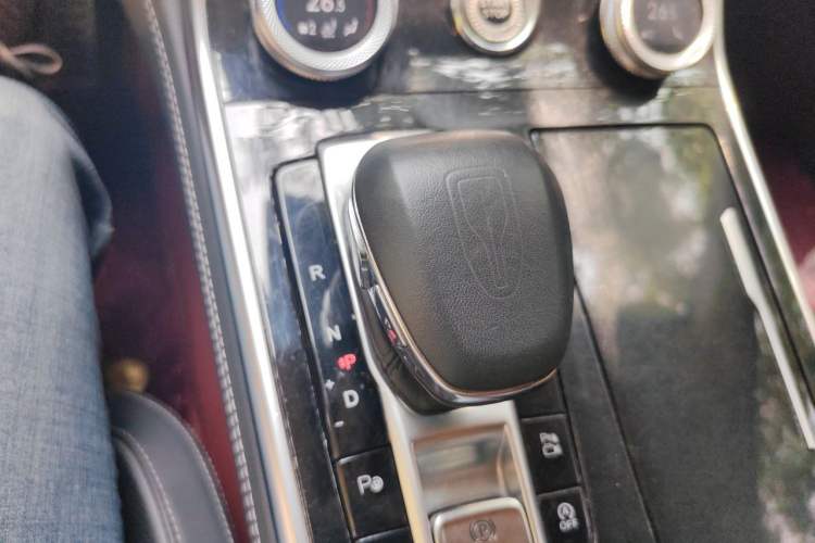 Used Hongqi H9 2020 2.0T Smart Connect Flagship Edition Gear Lever