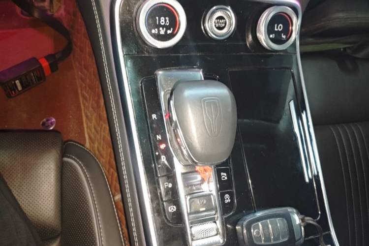 Used Hongqi H9 2020 Revised Version 2.0T Smart Connect Flagship Edition Gear Lever