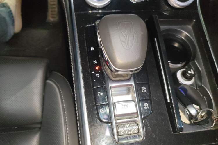 Used Hongqi H9 2020 2.0T Smart Connect Flagship Edition Gear Lever