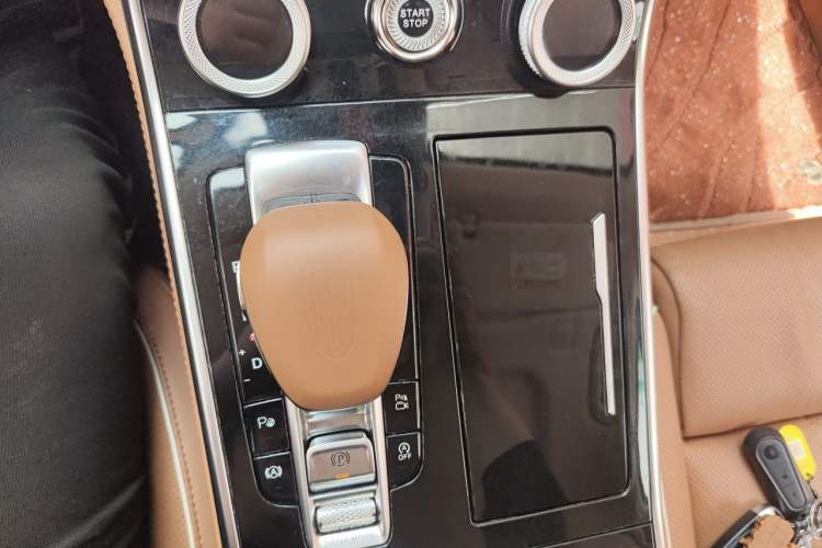 Used Hongqi H9 2020 Revised Version 2.0T Smart Connect Flagship Edition Gear Lever