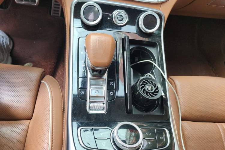 Used Hongqi H9 2020 2.0T Smart Connect Flagship Edition Gear Lever