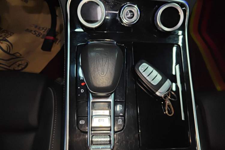 Used Hongqi H9 2020 2.0T Smart Connect Flagship Edition Gear Lever