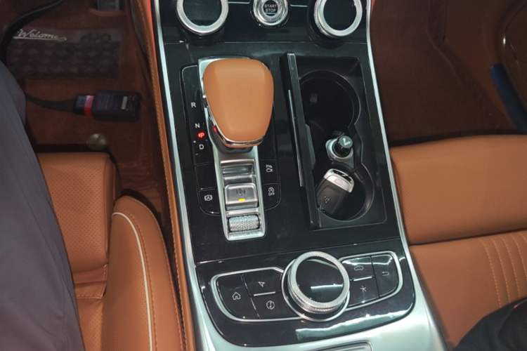 Used Hongqi H9 2020 2.0T Smart Connect Flagship Edition Gear Lever