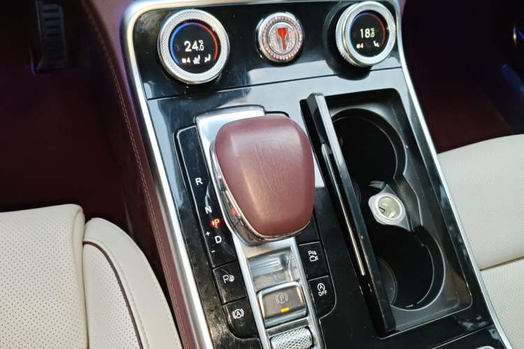 Used Hongqi H9 2020 2.0T Smart Connect Flagship Edition Gear Lever