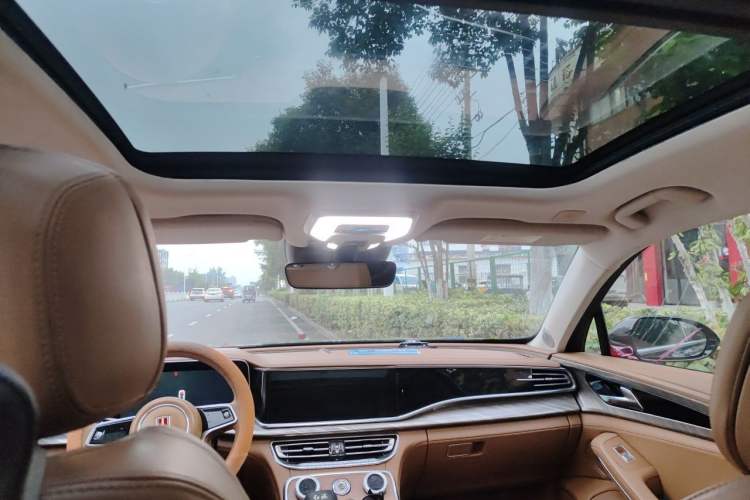 Used Hongqi H9 2020 2.0T Smart Connect Flagship Edition Headliner